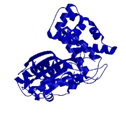 Image of CATH 4iqt