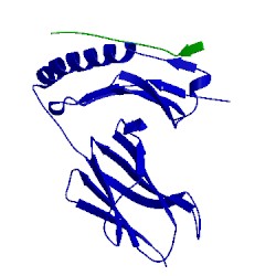 Image of CATH 4is6