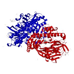 Image of CATH 4isz