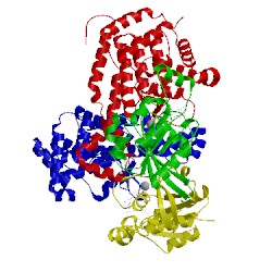 Image of CATH 4itr