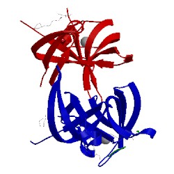 Image of CATH 4iuv