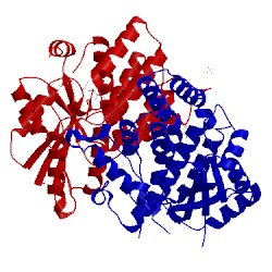 Image of CATH 4ivp