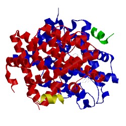 Image of CATH 4iw6