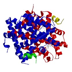 Image of CATH 4iw8