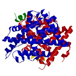 Image of CATH 4iwc