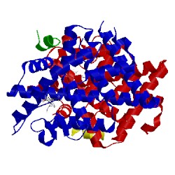 Image of CATH 4iwf