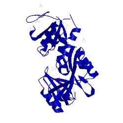 Image of CATH 4iwy