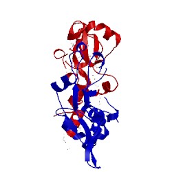 Image of CATH 4iy2