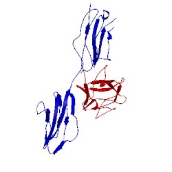 Image of CATH 4j23