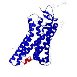 Image of CATH 4j4q