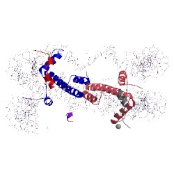 Image of CATH 4j8v