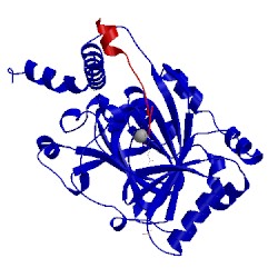 Image of CATH 4jaa