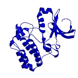 Image of CATH 4jbo