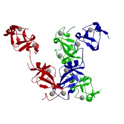 Image of CATH 4jcj