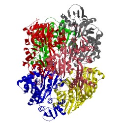 Image of CATH 4jd6