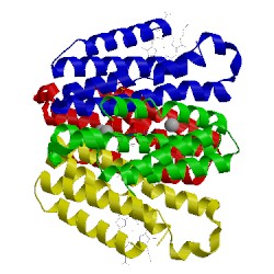 Image of CATH 4jea