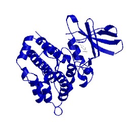 Image of CATH 4jg7