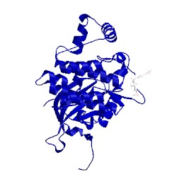 Image of CATH 4jia