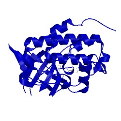 Image of CATH 4jik