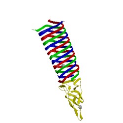 Image of CATH 4jiv