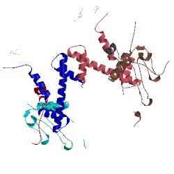 Image of CATH 4jjn