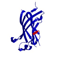 Image of CATH 4jjq