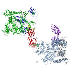 Image of CATH 4jk2