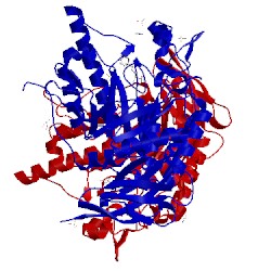 Image of CATH 4jl1