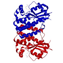 Image of CATH 4jlj