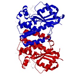 Image of CATH 4jlk