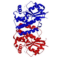 Image of CATH 4jln