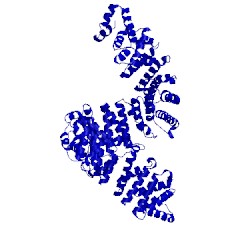 Image of CATH 4jlq