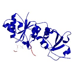 Image of CATH 4jlu