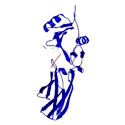 Image of CATH 4jmh
