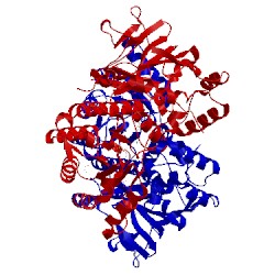 Image of CATH 4jnm