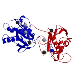 Image of CATH 4jp4
