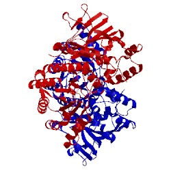 Image of CATH 4jr5