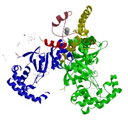 Image of CATH 4jta