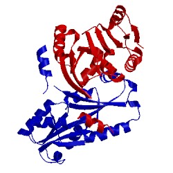 Image of CATH 4ju5