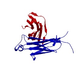 Image of CATH 4jvu