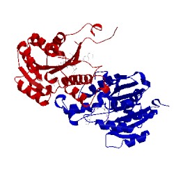 Image of CATH 4jx8