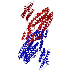 Image of CATH 4k1n