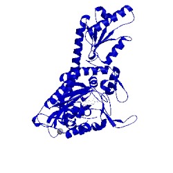Image of CATH 4k87