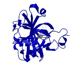 Image of CATH 4kap