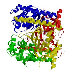 Image of CATH 4kar