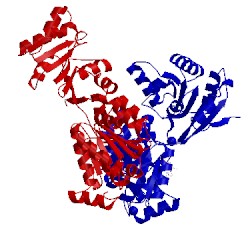 Image of CATH 4kbf