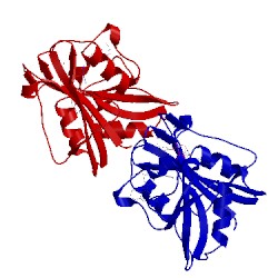 Image of CATH 4keb