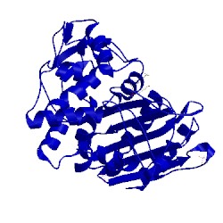 Image of CATH 4ken