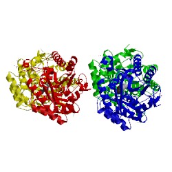 Image of CATH 4ket