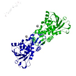 Image of CATH 4kgx